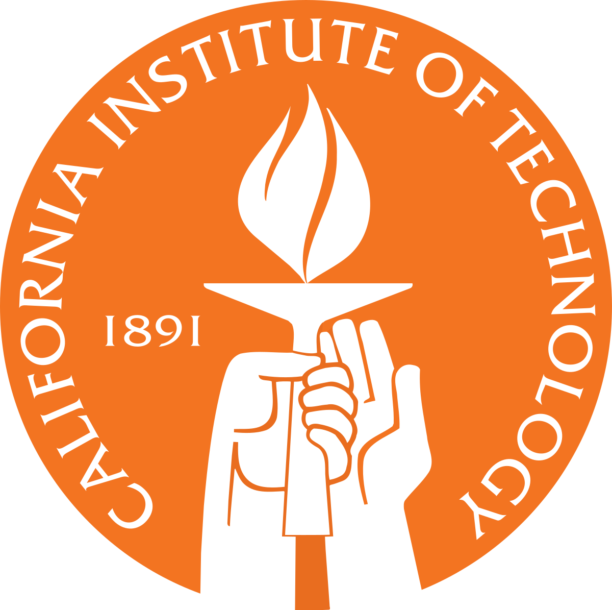 Round Image